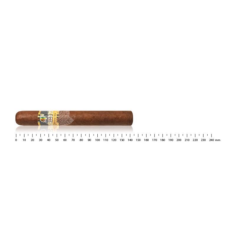 COHIBA SIGLO IV