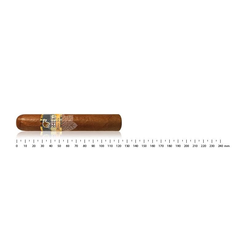 COHIBA ROBUSTO (3)