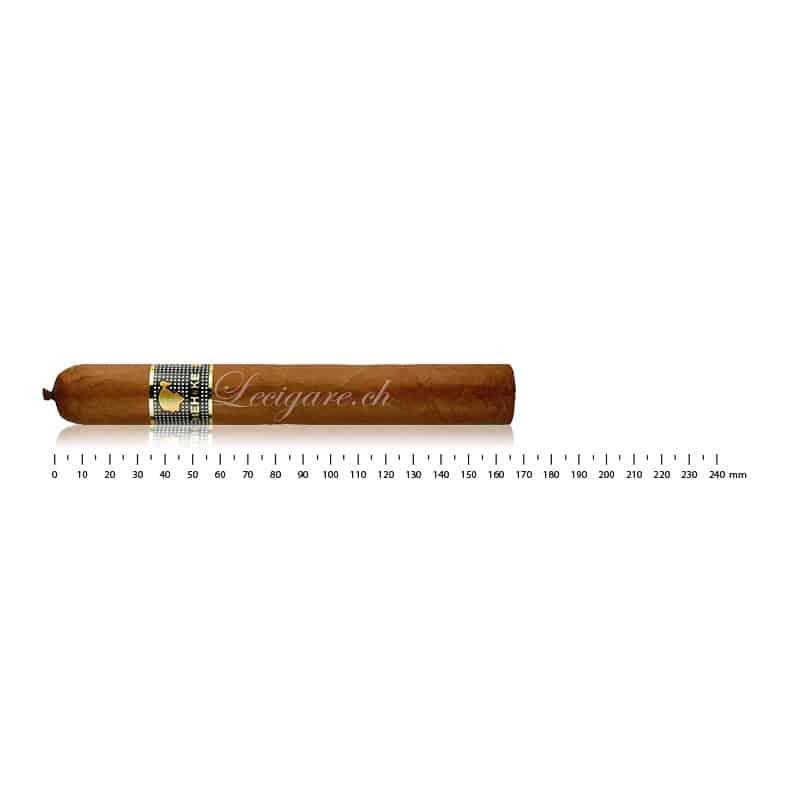 COHIBA BEHIKE 56 (10)