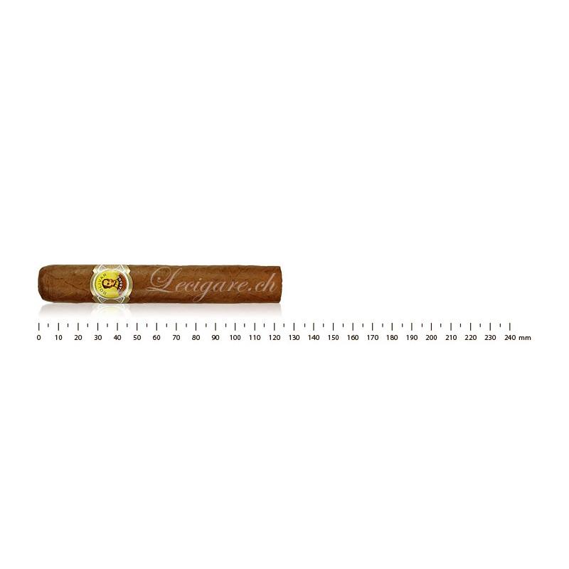 BOLIVAR ROYAL CORONAS