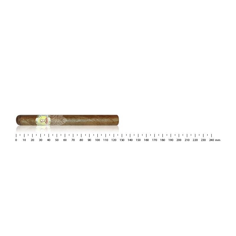 BOLIVAR TUBOS NO.3