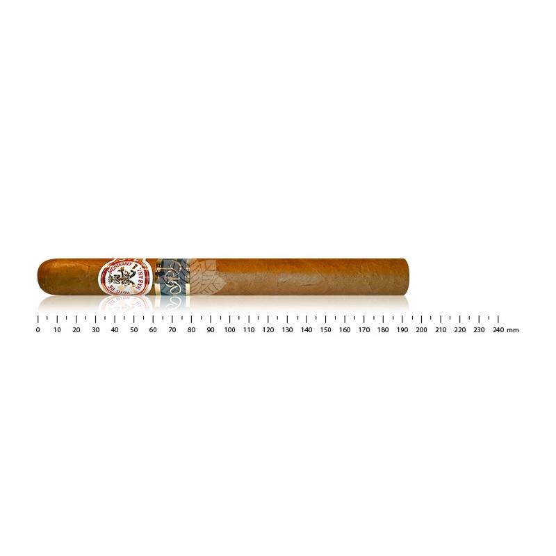 HOYO DE MONTERREY GRAN RESERVA DOUB