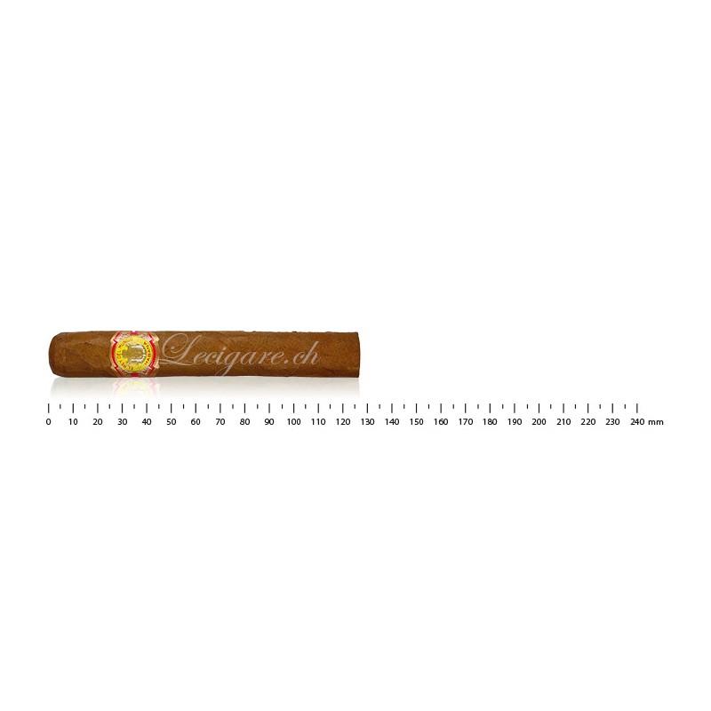 EL REY DEL MUNDO CHOIX SUPRêME